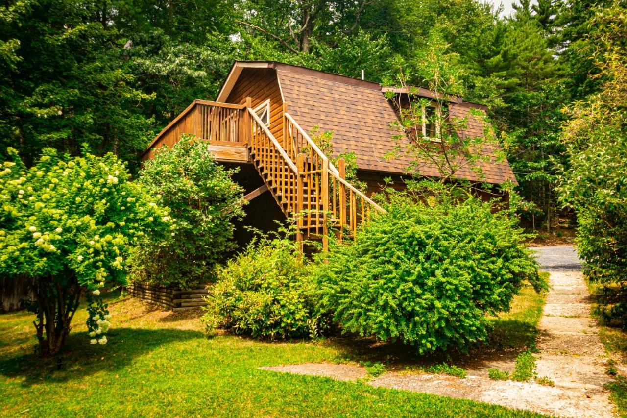 Hikers Haven, A Cozy Cabin Loft Above Bashakill Wildlife Refuge Villa Wurtsboro Kültér fotó