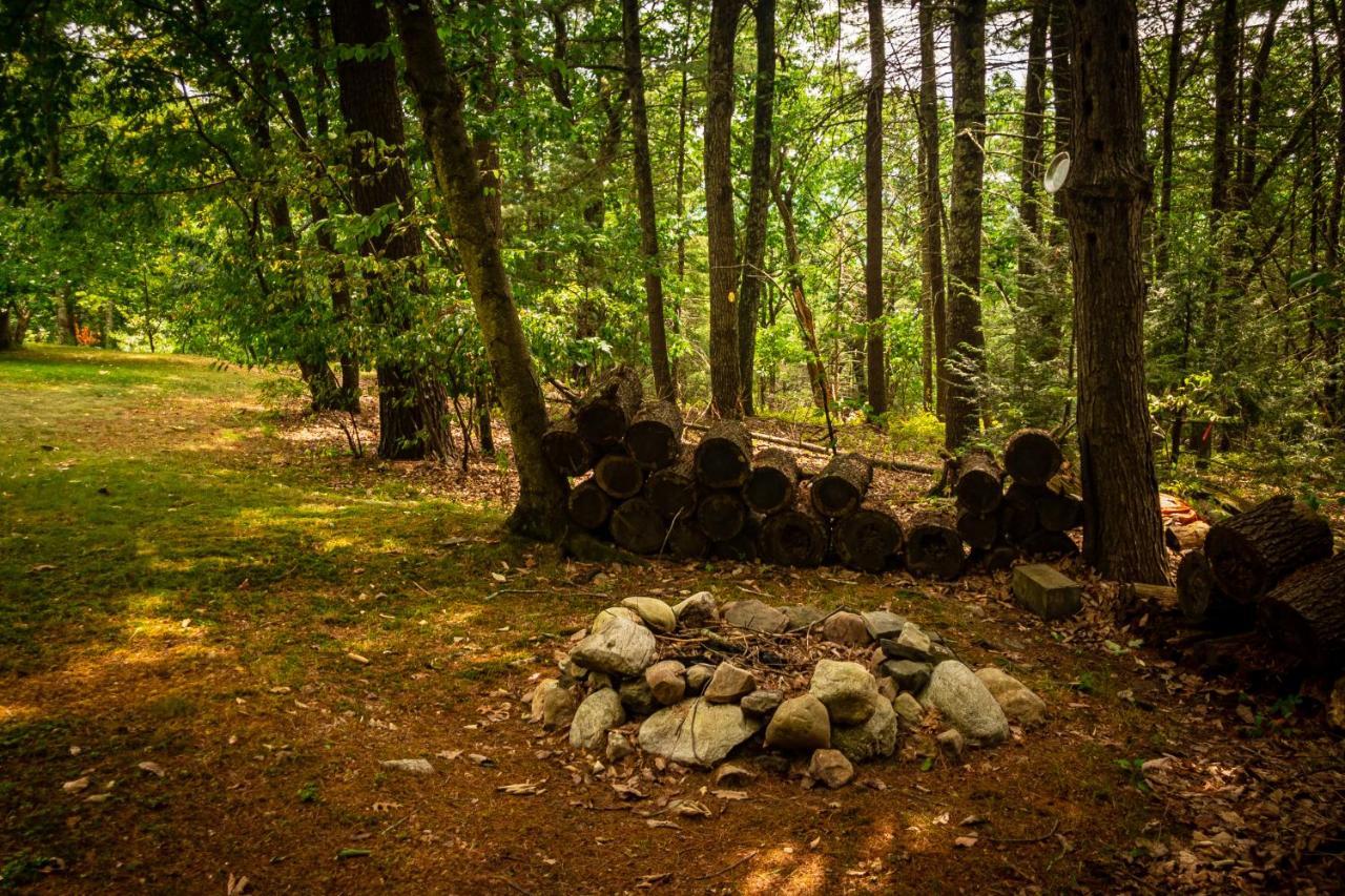 Hikers Haven, A Cozy Cabin Loft Above Bashakill Wildlife Refuge Villa Wurtsboro Kültér fotó